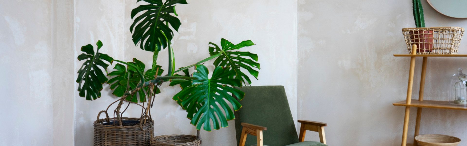 Profitez d'un intérieur rénové et harmonieux grâce à l’expertise d’un plâtrier peintre