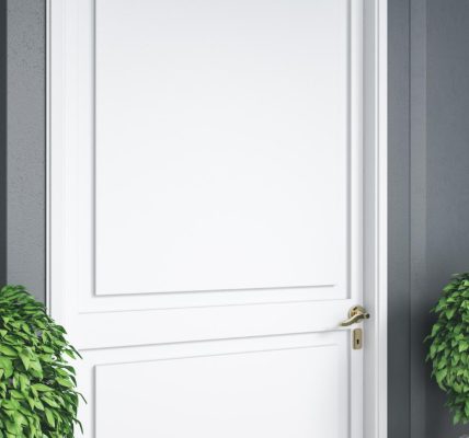 Portes d’entrée design et performantes : quelles options à découvrir à Chambéry